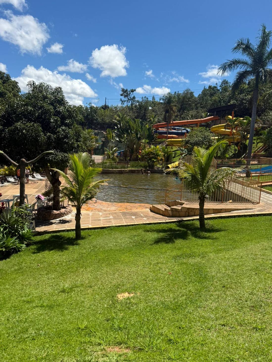 Piscina e toboáguas coloridos em meio à área verde
