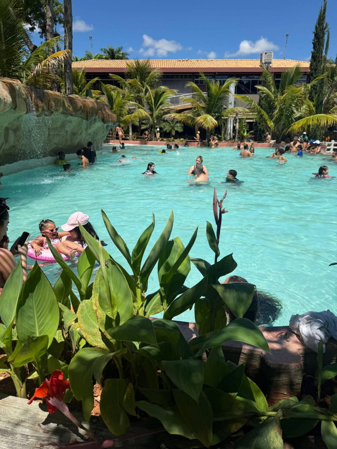 Piscina de águas cristalinas cercada de vegetação