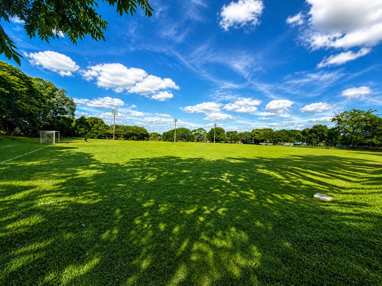 Campo de futebol gramado