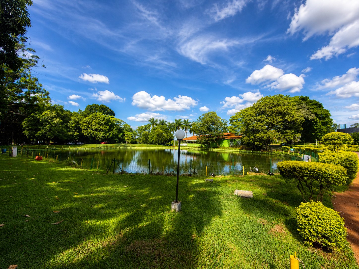 Lago ornamental do Clube dos Bancários